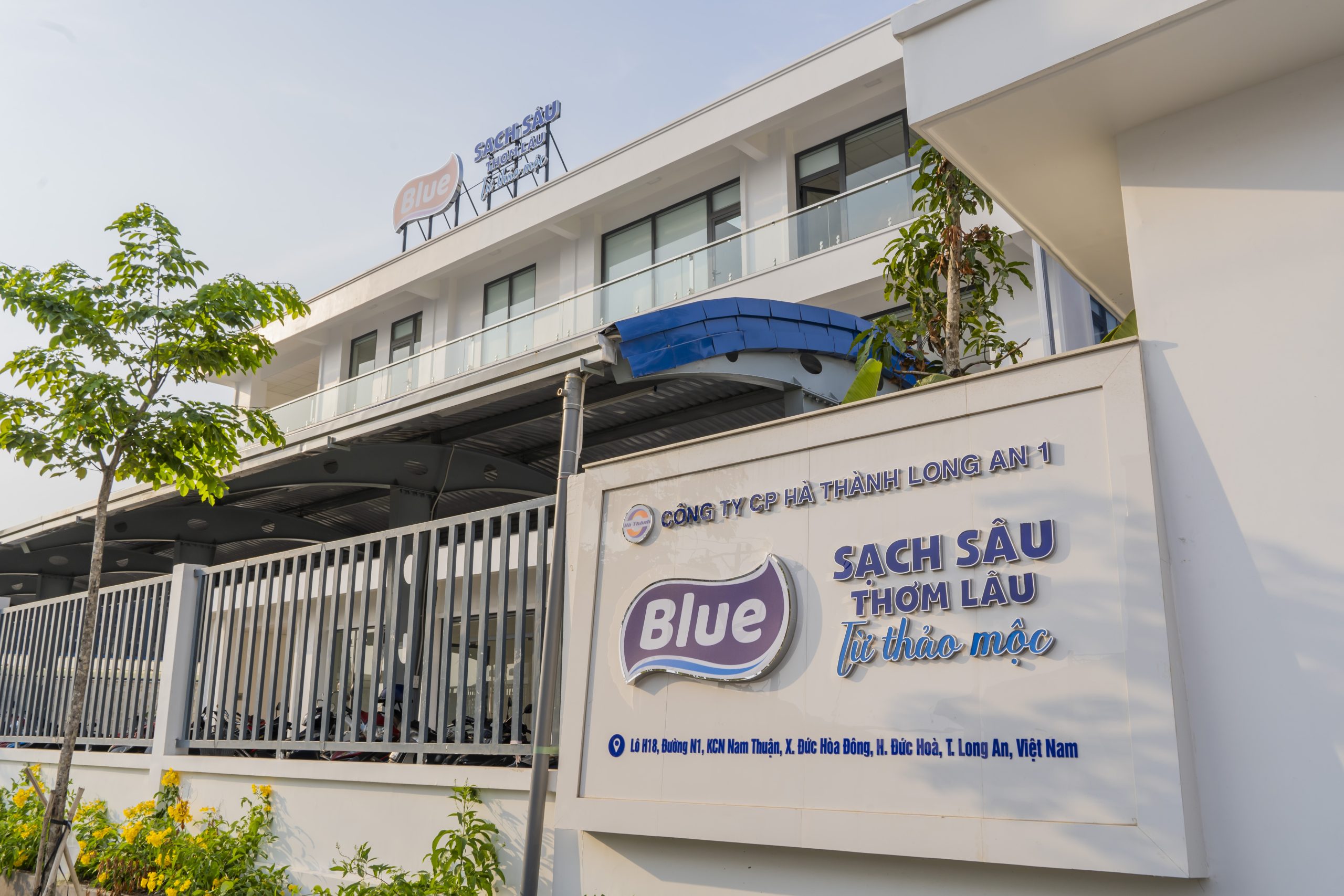 Thương hiệu Blue Việt Nam vươn tầm quốc tế cùng Alibaba